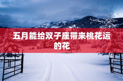 五月能给双子座带来桃花运的花