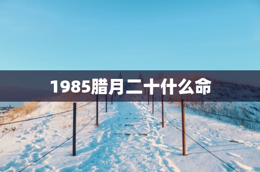 1985腊月二十什么命