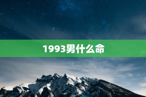 1993男什么命