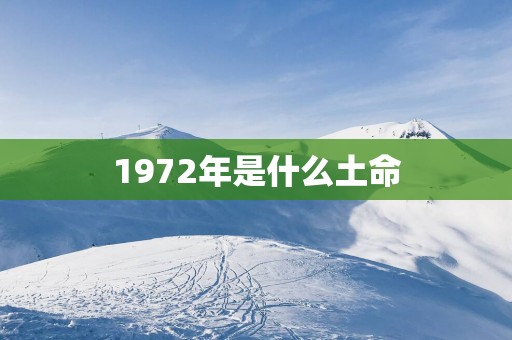 1972年是什么土命
