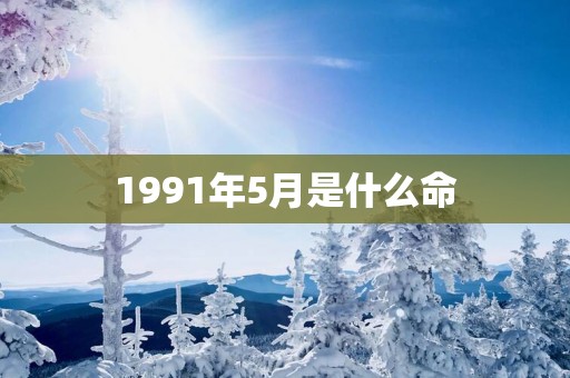 1991年5月是什么命
