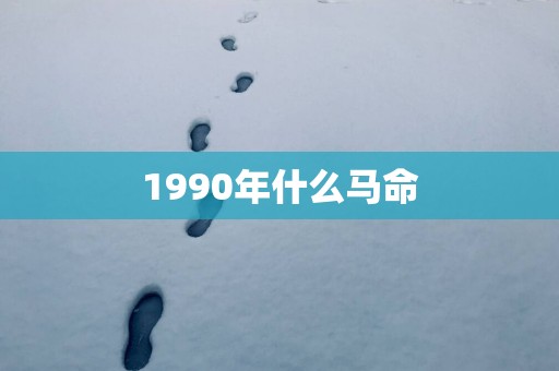 1990年什么马命