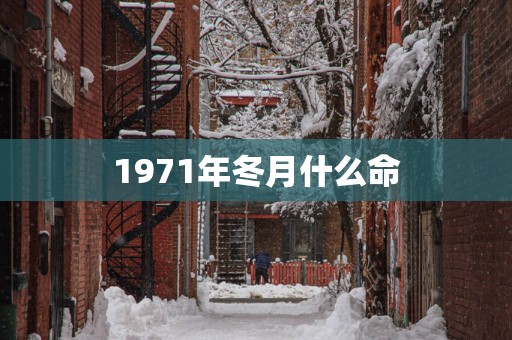 1971年冬月什么命