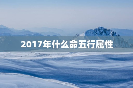 2017年什么命五行属性