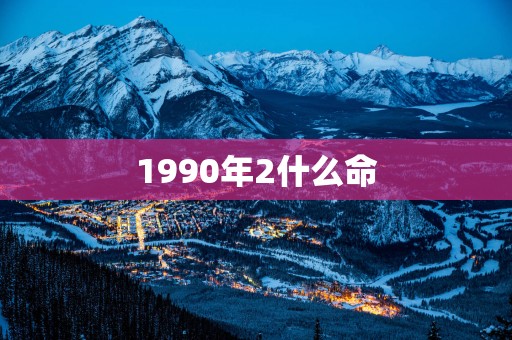 1990年2什么命