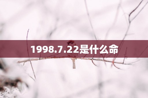 1998.7.22是什么命