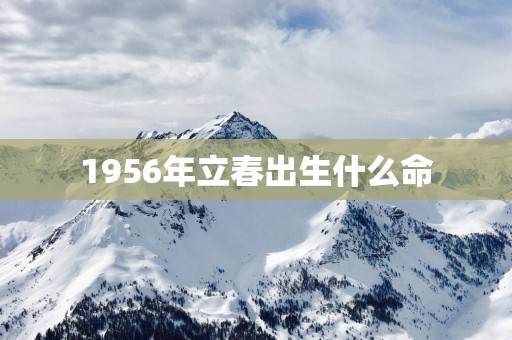 1956年立春出生什么命