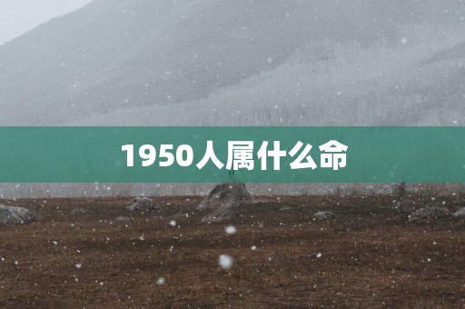 1950人属什么命