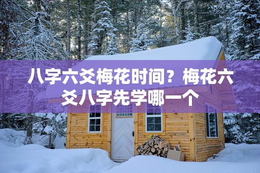 八字六爻梅花时间？梅花六爻八字先学哪一个