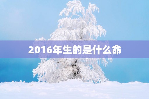 2016年生的是什么命