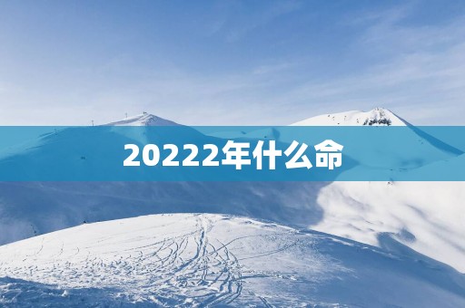 20252年什么命