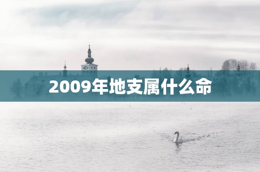 2009年地支属什么命