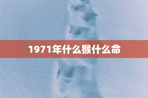 1971年什么猴什么命