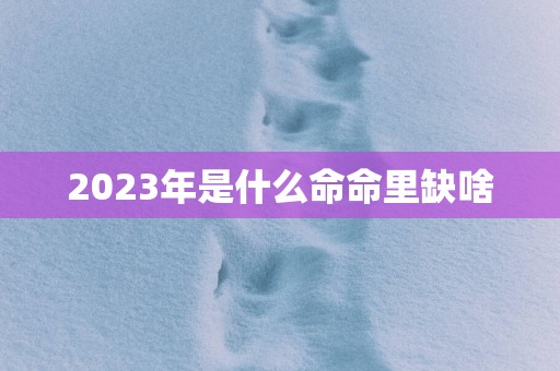 2025年是什么命命里缺啥