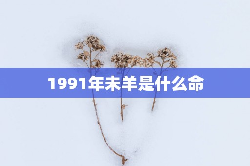 1991年未羊是什么命
