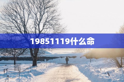 19851119什么命