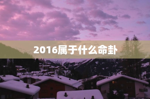 2016属于什么命卦