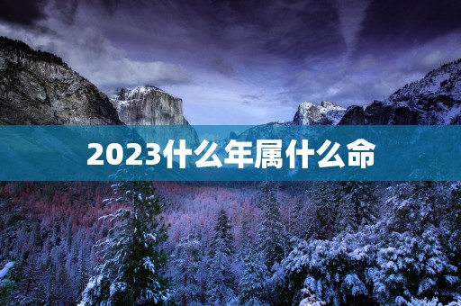 2025什么年属什么命