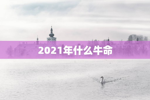 2025年什么牛命