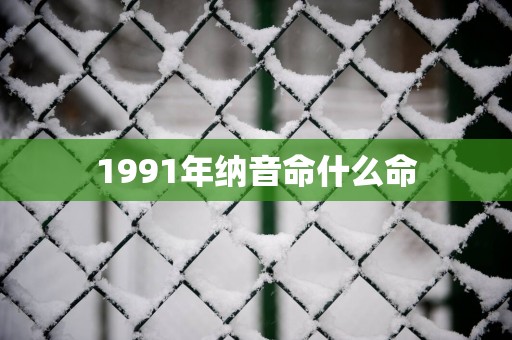 1991年纳音命什么命
