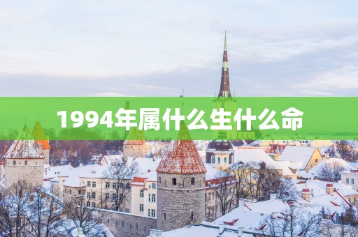 1994年属什么生什么命