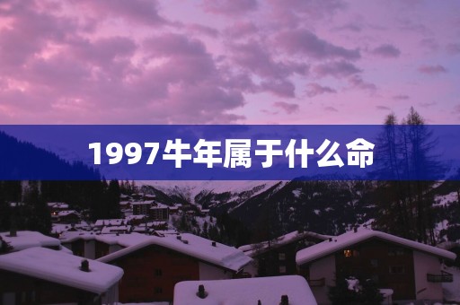 1997蛇年属于什么命
