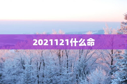 2025121什么命