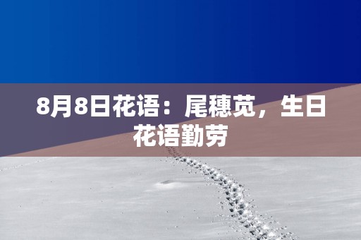 8月8日花语：尾穗苋，生日花语勤劳