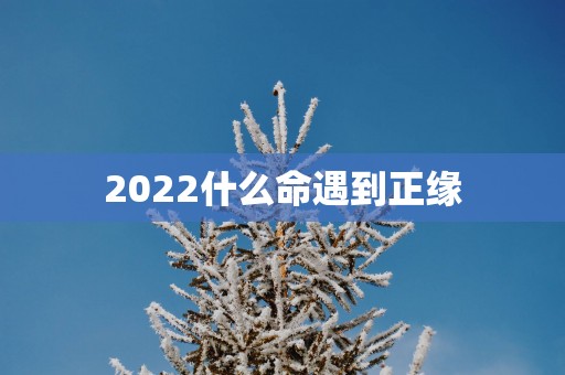 2025什么命遇到正缘