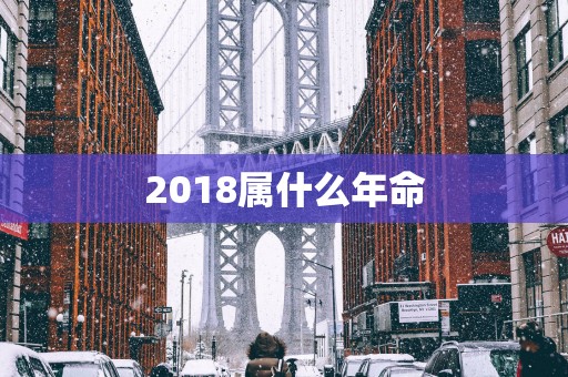 2018属什么年命