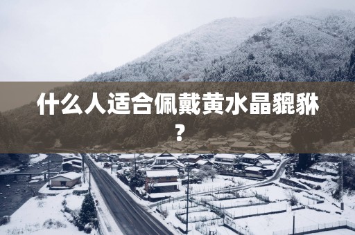 什么人适合佩戴黄水晶貔貅？