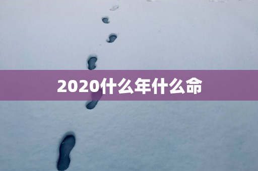 2025什么年什么命