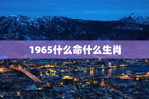 1965什么命什么生肖