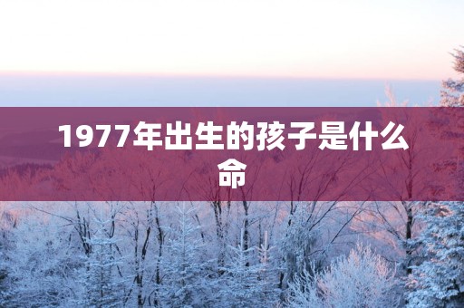 1977年出生的孩子是什么命