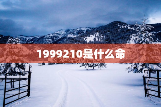 1999210是什么命