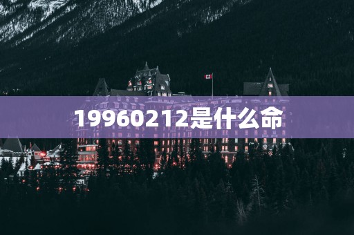 19960212是什么命