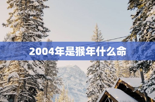 2004年是猴年什么命