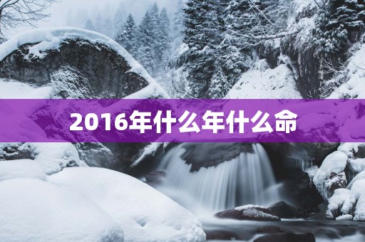 2016年什么年什么命