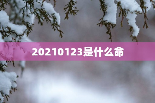 20250123是什么命