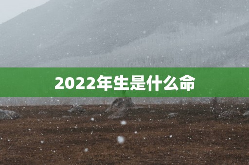 2025年生是什么命