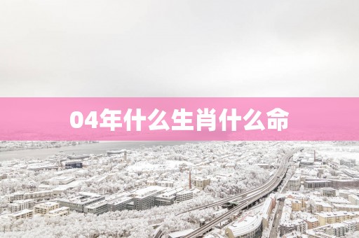 04年什么生肖什么命