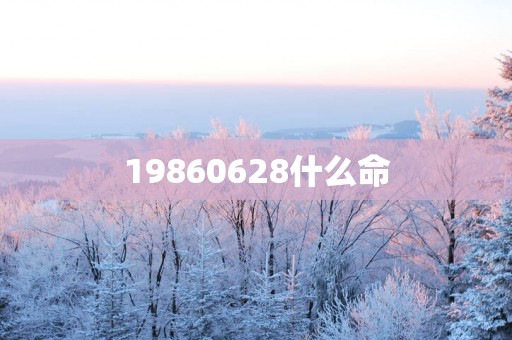 19860628什么命