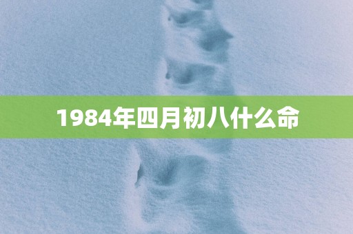 1984年四月初八什么命