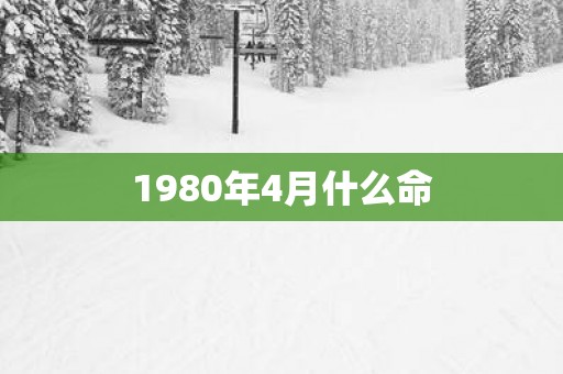 1980年4月什么命