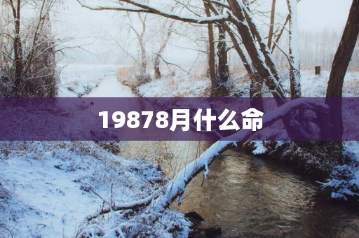 19878月什么命