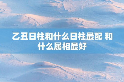 乙丑日柱和什么日柱最配 和什么属相最好