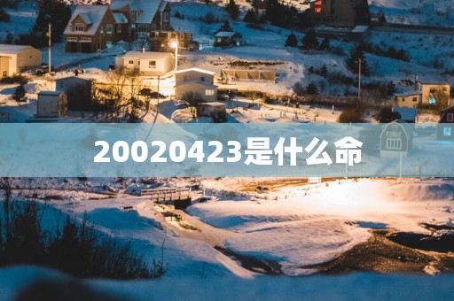 20020423是什么命