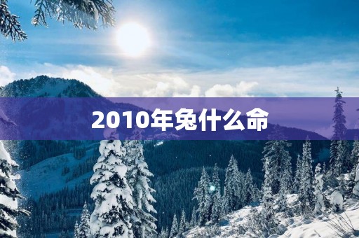 2010年兔什么命