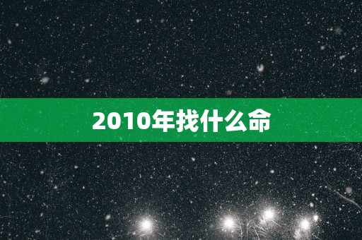 2010年找什么命