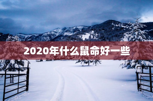 2025年什么鼠命好一些